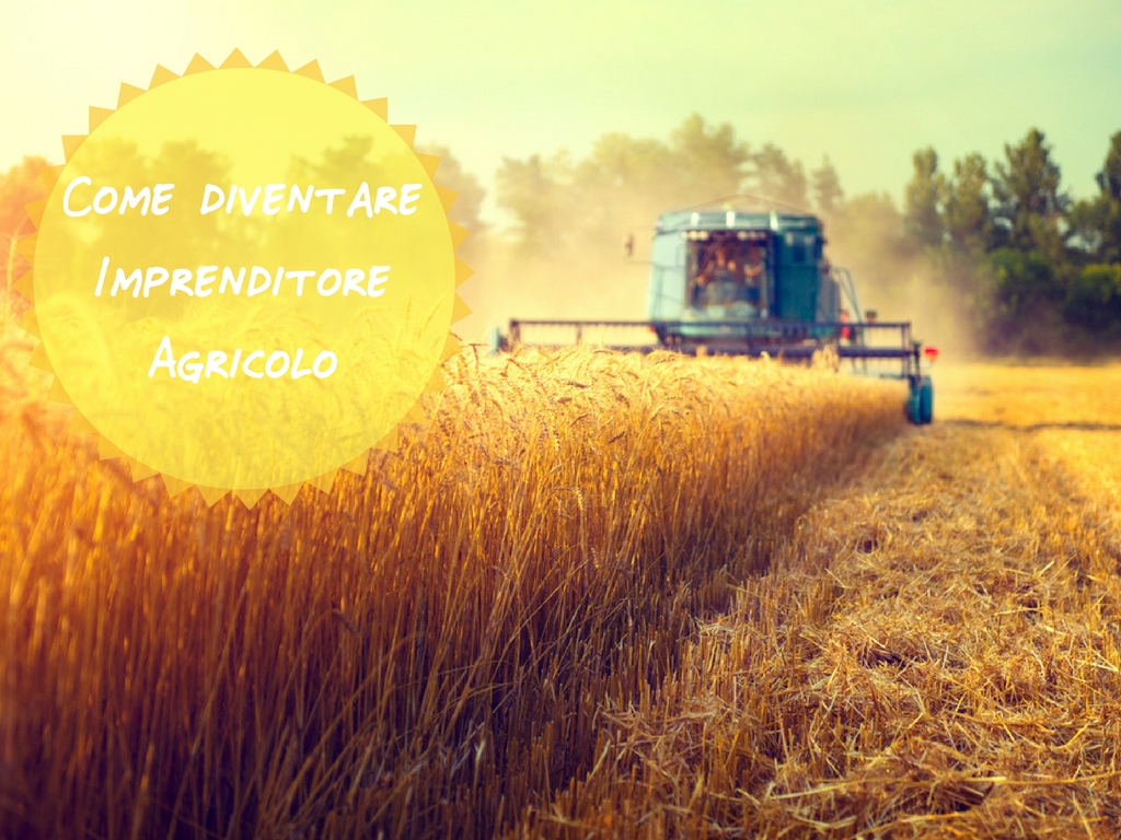 Come diventare Imprenditore Agricolo